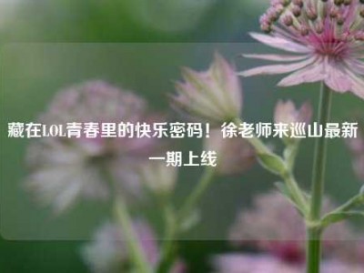 藏在LOL青春里的快乐密码！徐老师来巡山最新一期上线