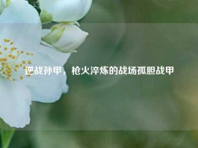 逆战孙甲，枪火淬炼的战场孤胆战甲