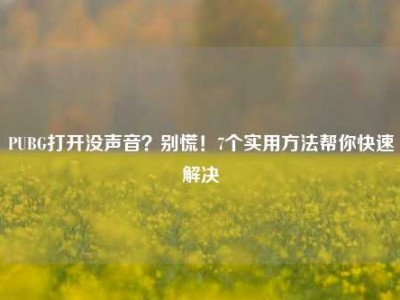 PUBG打开没声音？别慌！7个实用方法帮你快速解决