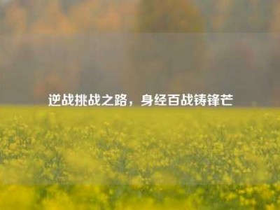 逆战挑战之路，身经百战铸锋芒