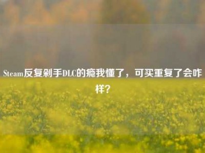 Steam反复剁手DLC的瘾我懂了，可买重复了会咋样？
