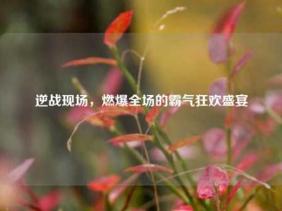 逆战现场，燃爆全场的霸气狂欢盛宴