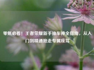 零氪必看！王者荣耀新手抽车神全指南，从入门到精通抱走专属座驾