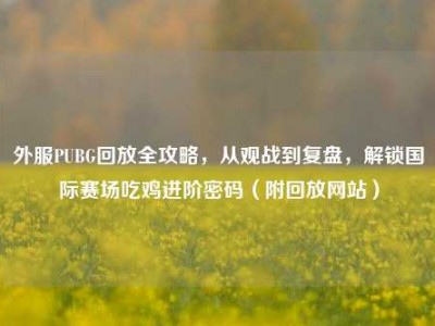 外服PUBG回放全攻略，从观战到复盘，解锁国际赛场吃鸡进阶密码（附回放网站）