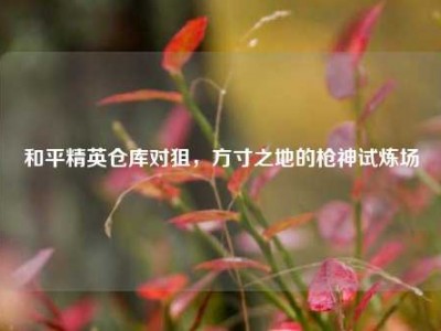 和平精英仓库对狙，方寸之地的枪神试炼场