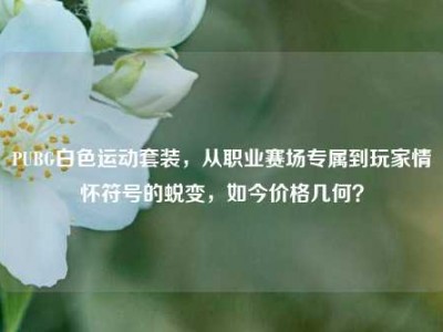 PUBG白色运动套装，从职业赛场专属到玩家情怀符号的蜕变，如今价格几何？