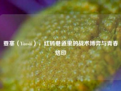 要塞（Yàosài），红砖巷道里的战术博弈与青春烙印
