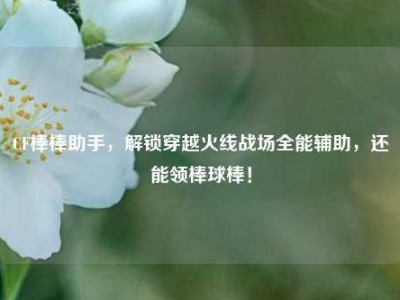 CF棒棒助手，解锁穿越火线战场全能辅助，还能领棒球棒！