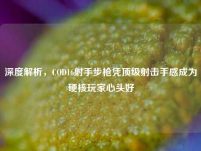 深度解析，COD16射手步枪凭顶级射击手感成为硬核玩家心头好