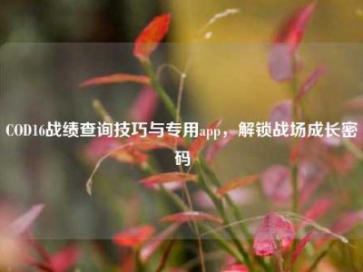 COD16战绩查询技巧与专用app，解锁战场成长密码