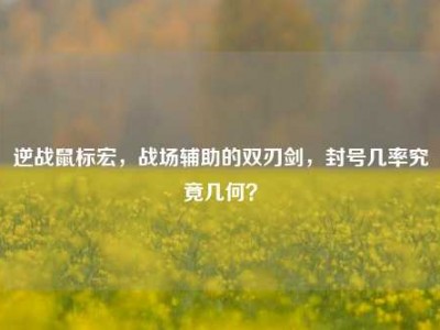 逆战鼠标宏，战场辅助的双刃剑，封号几率究竟几何？