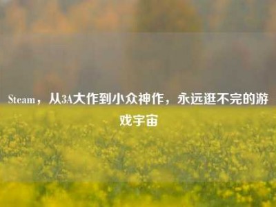 Steam，从3A大作到小众神作，永远逛不完的游戏宇宙