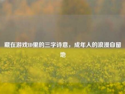 藏在游戏ID里的三字诗意，成年人的浪漫自留地