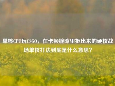 单核CPU玩CSGO，在卡顿缝隙里抠出来的硬核战场单核打法到底是什么意思？
