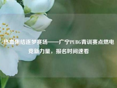 热血集结逐梦赛场——广宁PUBG青训赛点燃电竞新力量，报名时间速看