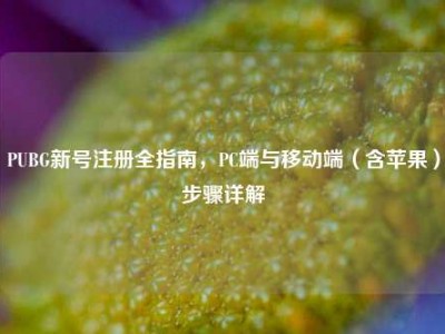 PUBG新号注册全指南，PC端与移动端（含苹果）步骤详解