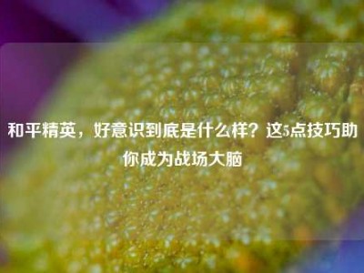和平精英，好意识到底是什么样？这5点技巧助你成为战场大脑