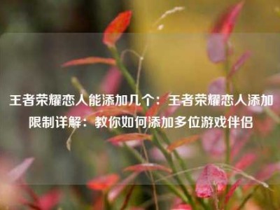 王者荣耀恋人能添加几个：王者荣耀恋人添加限制详解：教你如何添加多位游戏伴侣