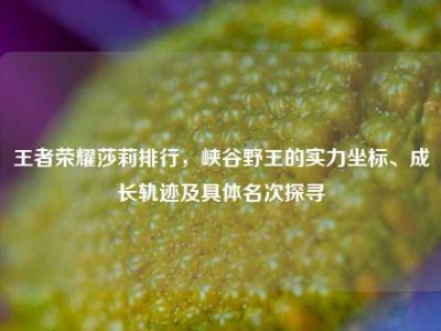 王者荣耀莎莉排行，峡谷野王的实力坐标、成长轨迹及具体名次探寻