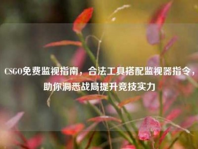 CSGO免费监视指南，合法工具搭配监视器指令，助你洞悉战局提升竞技实力