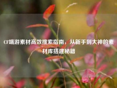 CF端游素材高效搜索指南，从新手到大神的素材库搭建秘籍
