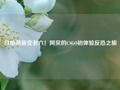 白给萌新变老六！阿贝的CSGO初体验反恐之旅