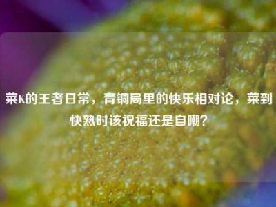 菜K的王者日常，青铜局里的快乐相对论，菜到快熟时该祝福还是自嘲？