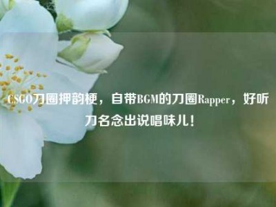 CSGO刀圈押韵梗，自带BGM的刀圈Rapper，好听刀名念出说唱味儿！