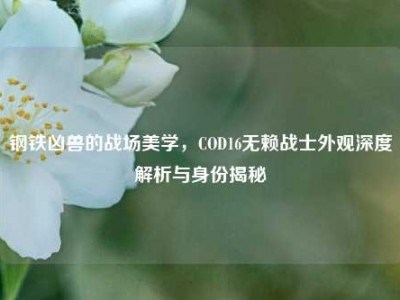 钢铁凶兽的战场美学，COD16无赖战士外观深度解析与身份揭秘