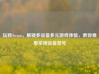 玩转Steam，解锁多设备多元游戏体验，教你查看常用设备型号