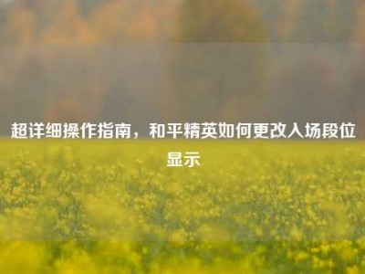 超详细操作指南，和平精英如何更改入场段位显示