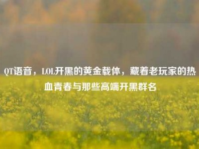 QT语音，LOL开黑的黄金载体，藏着老玩家的热血青春与那些高端开黑群名