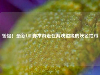警惕！最新LOL脚本游走在游戏边缘的灰色地带