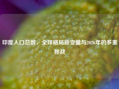 印度人口总数，全球格局新变量与2026年的多重挑战