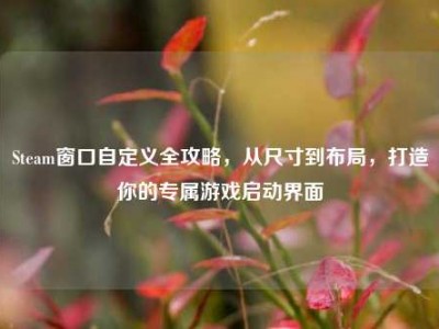 Steam窗口自定义全攻略，从尺寸到布局，打造你的专属游戏启动界面