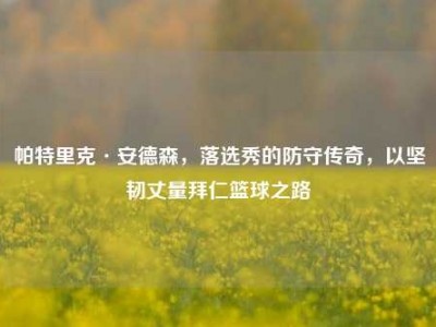 帕特里克·安德森，落选秀的防守传奇，以坚韧丈量拜仁篮球之路