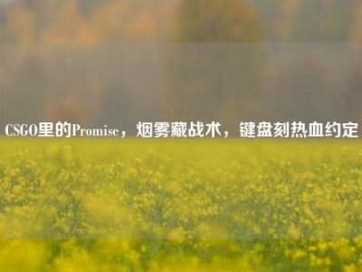 CSGO里的Promise，烟雾藏战术，键盘刻热血约定