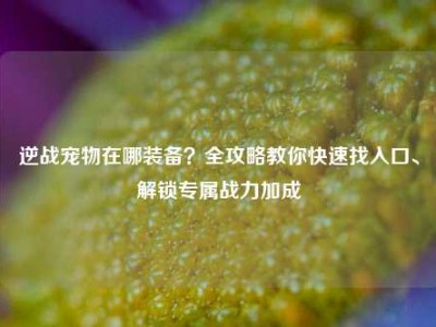 逆战宠物在哪装备？全攻略教你快速找入口、解锁专属战力加成
