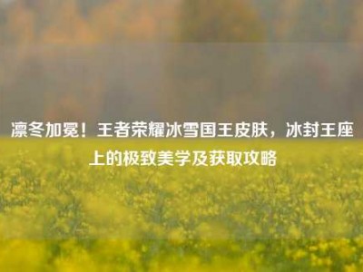 凛冬加冕！王者荣耀冰雪国王皮肤，冰封王座上的极致美学及获取攻略