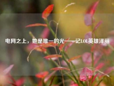 电网之上，她是唯一的光——记LOL英雄泽丽