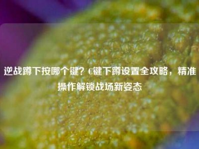 逆战蹲下按哪个键？C键下蹲设置全攻略，精准操作解锁战场新姿态