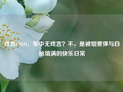 戏言CSGO，军中无戏言？不，是被烟雾弹与白给填满的快乐日常