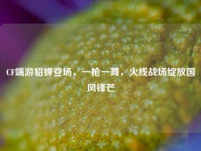 CF端游貂蝉登场，一枪一舞，火线战场绽放国风锋芒