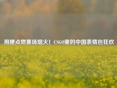 用梗点燃赛场烟火！CSGO里的中国表情包狂欢