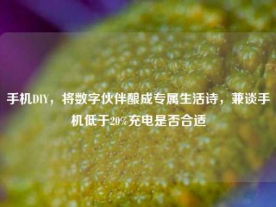 手机DIY，将数字伙伴酿成专属生活诗，兼谈手机低于20%充电是否合适