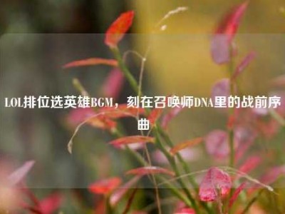 LOL排位选英雄BGM，刻在召唤师DNA里的战前序曲