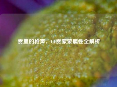 雾里的枪声，CF雾蒙蒙属性全解析