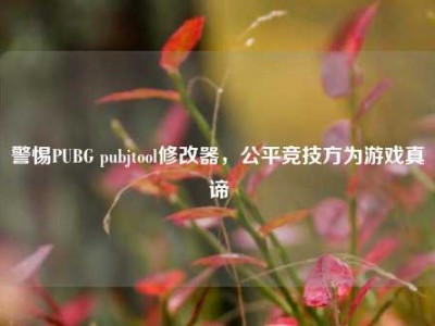 警惕PUBG pubjtool修改器，公平竞技方为游戏真谛