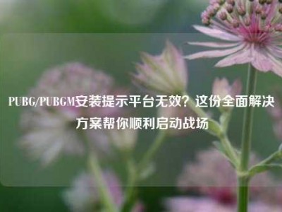 PUBG/PUBGM安装提示平台无效？这份全面解决方案帮你顺利启动战场