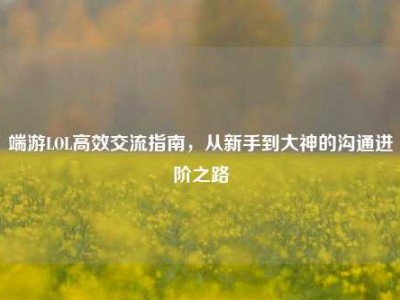 端游LOL高效交流指南，从新手到大神的沟通进阶之路